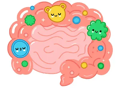 Pure Lactobacillus Acidophilus