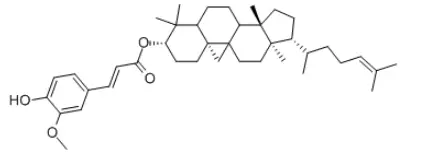 Oryzanol structure
