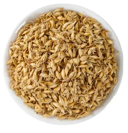 Bulk Maltose Powder