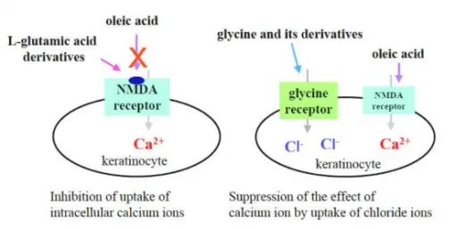 Glycylglycine