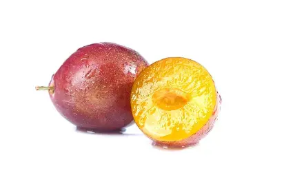 Prune Juice Powder Prune Juice Powder