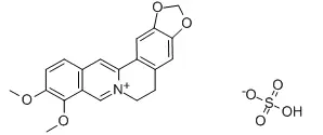 Berberine Sulfate Powder
