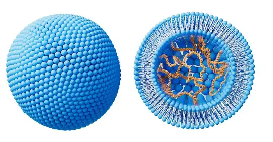 Liposome technology