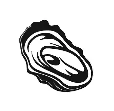 Oyster 