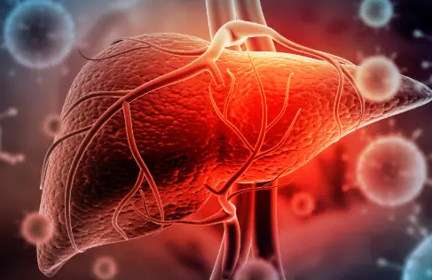 Protect the liver Protect the liver