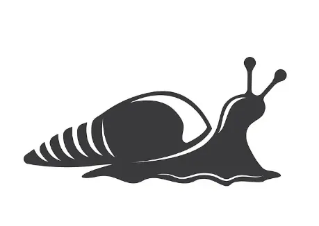 Snail Protein Powder
