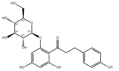 Phlorizin 
