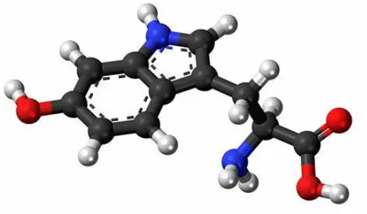 5 - HTP 5 - HTP