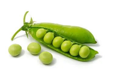 PEA PEA