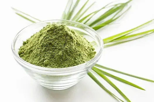 Barley Powder
