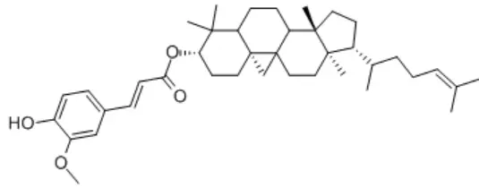 Oryzanol Oryzanol