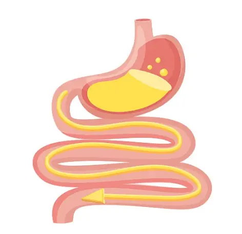 Digestive Health