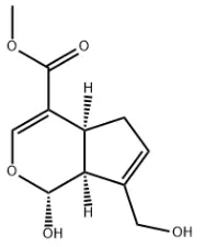 structure structure