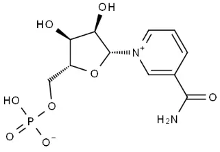 NMN structure