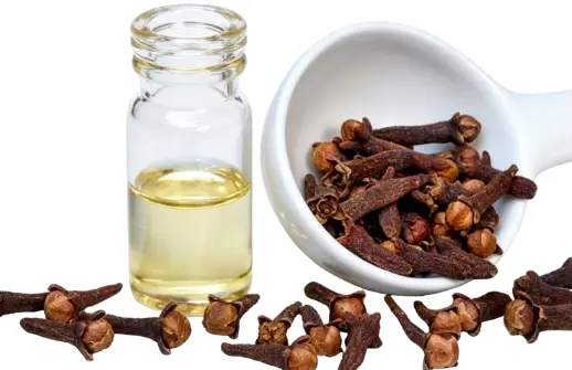 Clove Oil Clove Oil