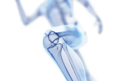Joint Health Joint Health