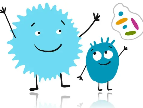 Prebiotics and probiotic Prebiotics and probiotic