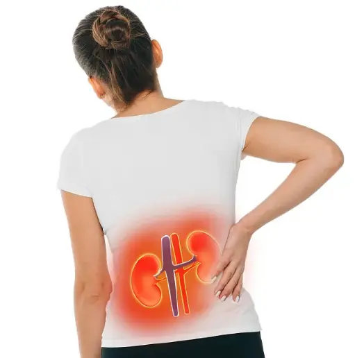 kidneys health kidneys health
