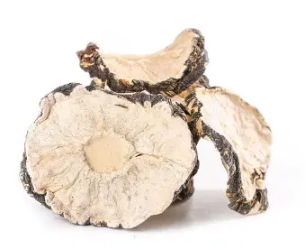 Maca 