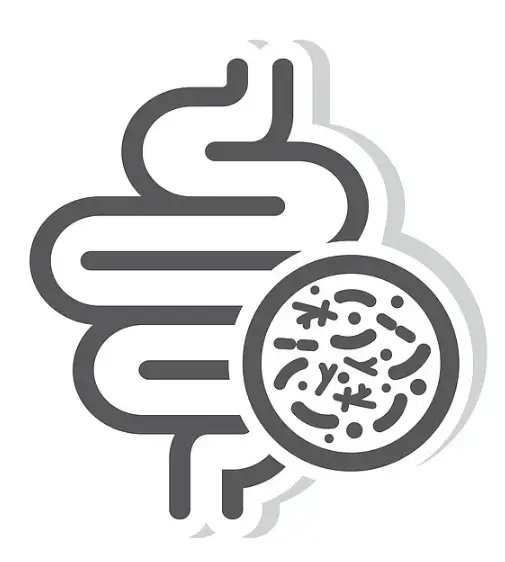 Digestive Health