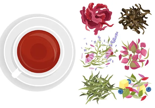 Herbal teas Herbal teas
