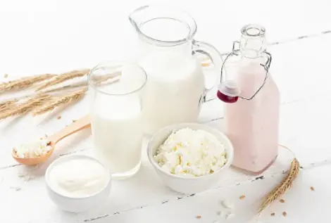 dairy products dairy products
