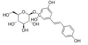 Polydatin 