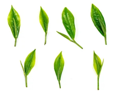 natural source