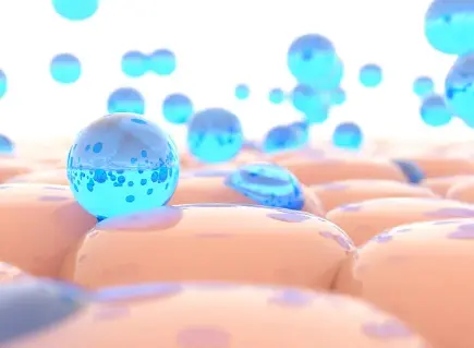 Tissue Repair Tissue Repair