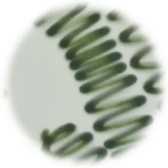spirulina