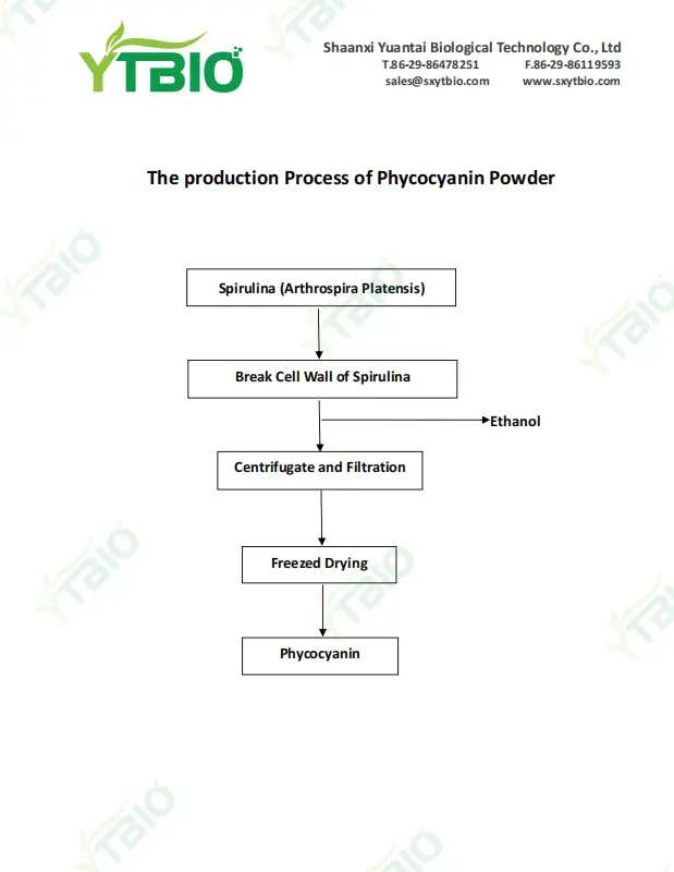 Process Flow