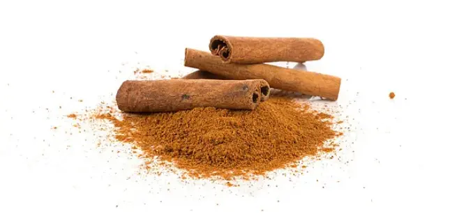 Cinnamon Powder Manufacturer and Supplier