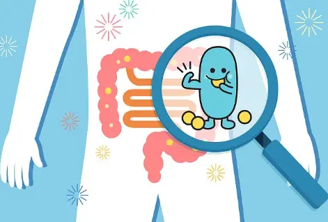 healthy gut environment.