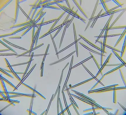 Sponge Microneedles Sponge Microneedles