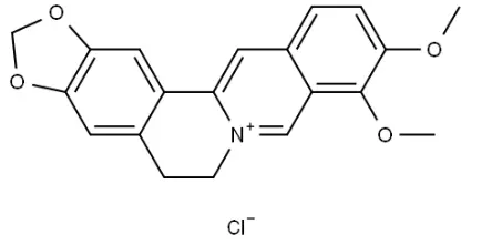 berberine hydrochloride berberine hydrochloride