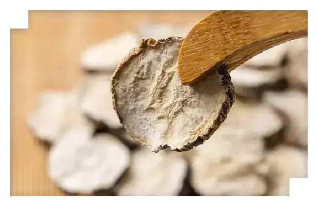 Maca Root Extract