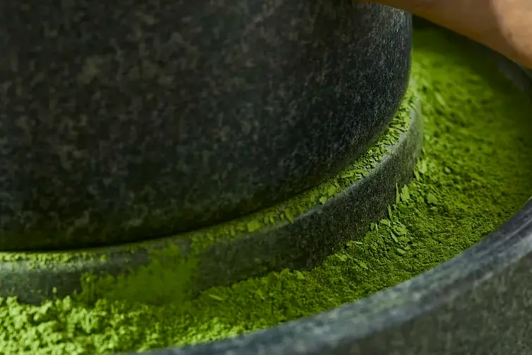 High-quality Matcha Powder