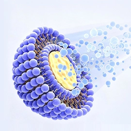 Liposomal products List