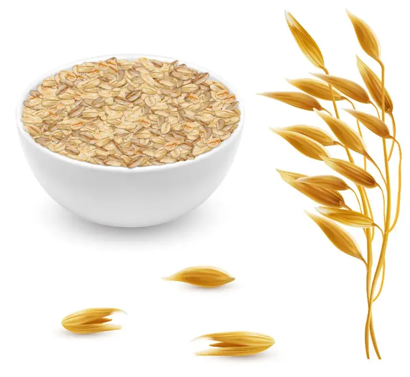 Oat Oat