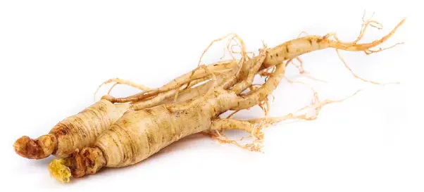 Ginseng Ginseng