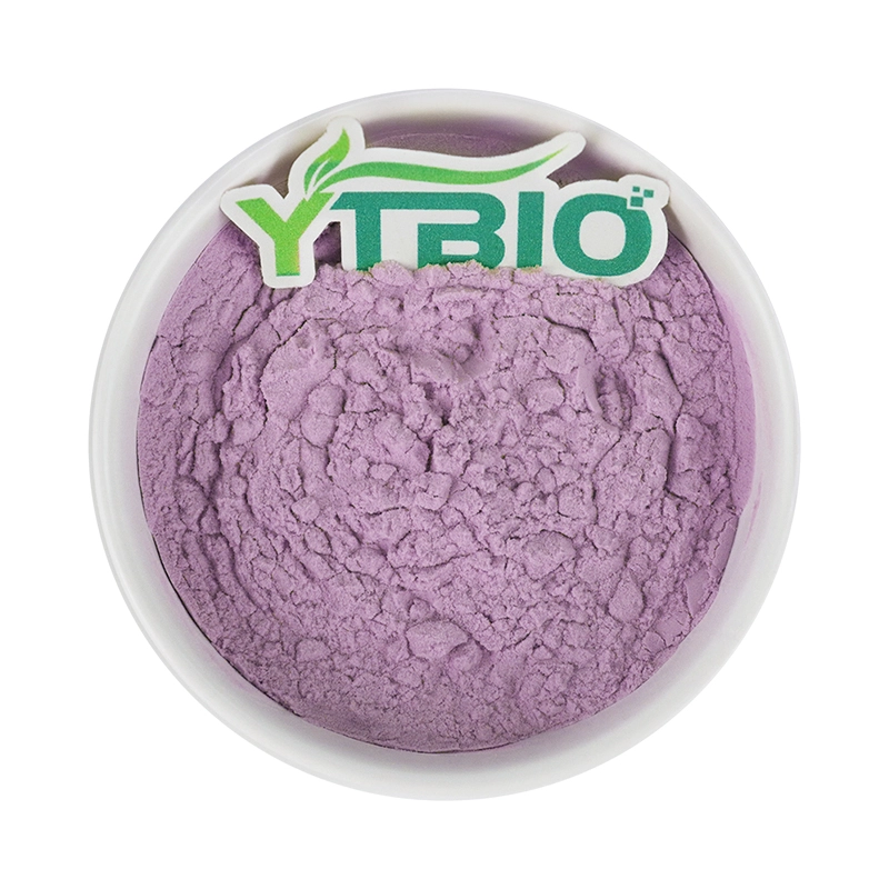 Bulk Ube Powder Bulk Ube Powder