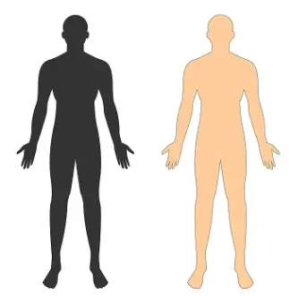Overall Health