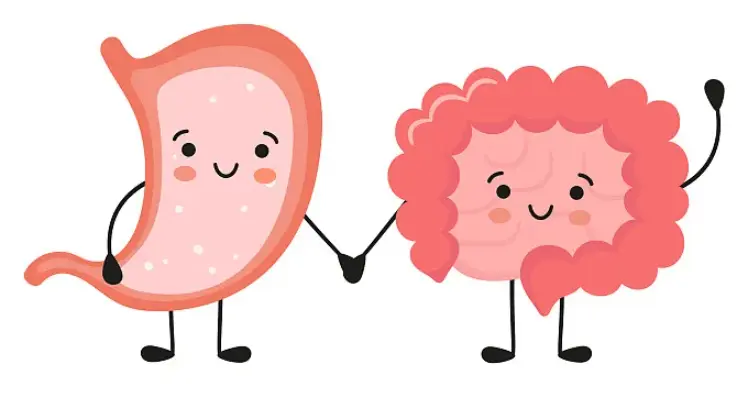 for Gut Health for Gut Health