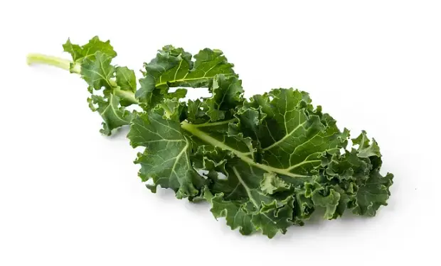 Fresh Kale