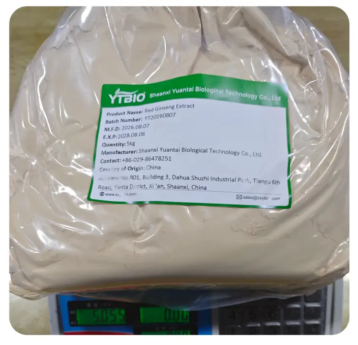Korean Ginseng extract