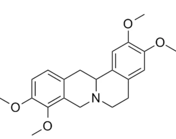 Tetrahydropalmatine Powder