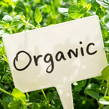 Organic Products List