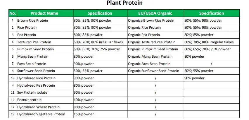 plant-based protein plant-based protein