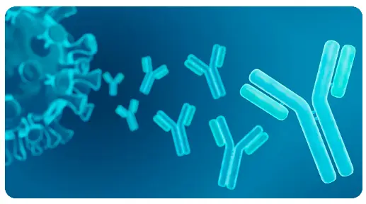 Immunomodulation Immunomodulation