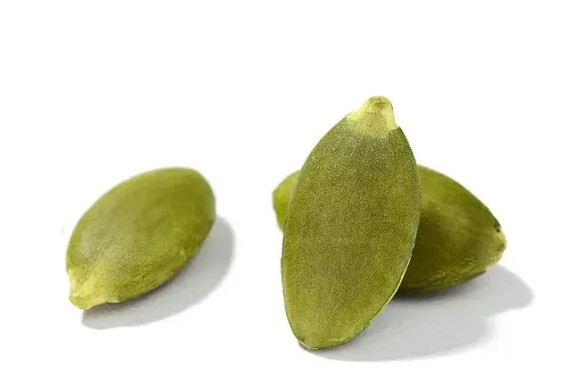pumpkin seed